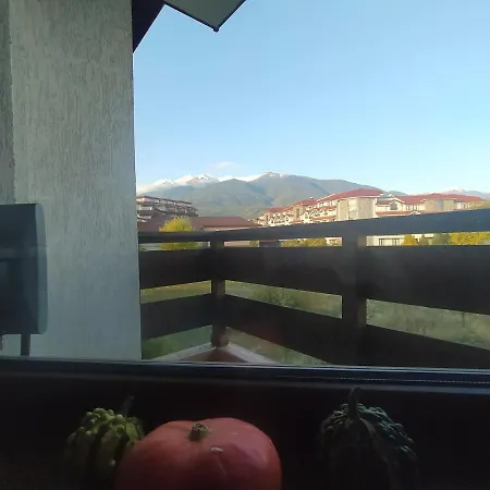 Pine Tree B11 Apartment Bansko