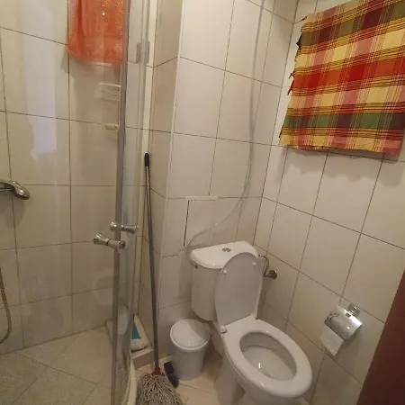 Pine Tree B11 Bansko