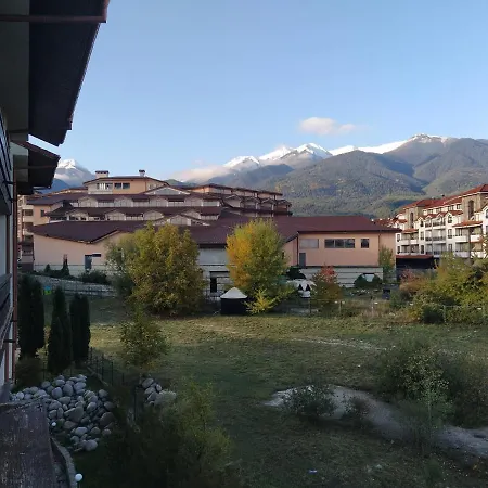 Pine Tree B11 Bansko